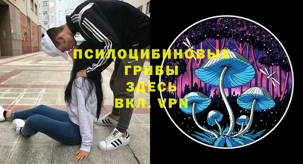 ГАЛЛЮЦИНОГЕННЫЕ ГРИБЫ Алзамай