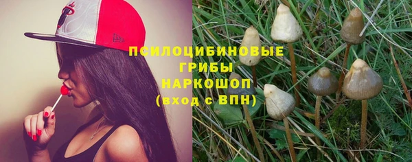 ГАЛЛЮЦИНОГЕННЫЕ ГРИБЫ Алзамай
